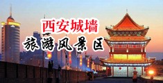 搞基美女淫母狗中国陕西-西安城墙旅游风景区