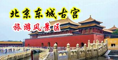 人妻处女穴(h)中国北京-东城古宫旅游风景区